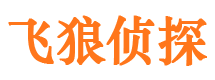 武川市婚姻调查